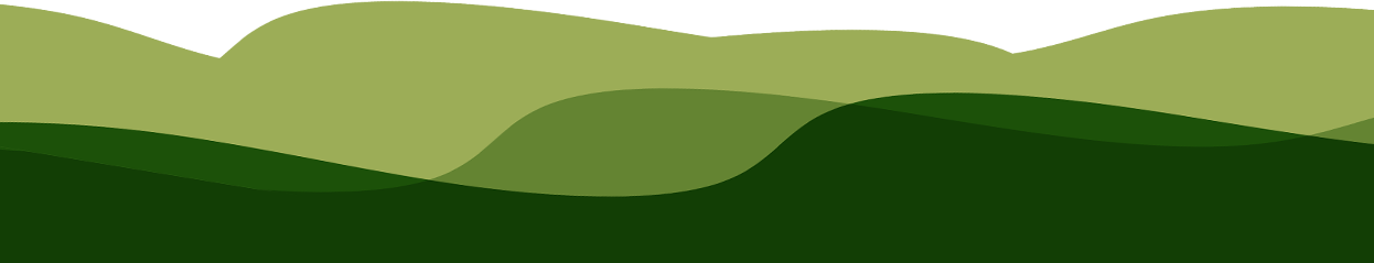FIT_BILD_Studienwelle-horizontal